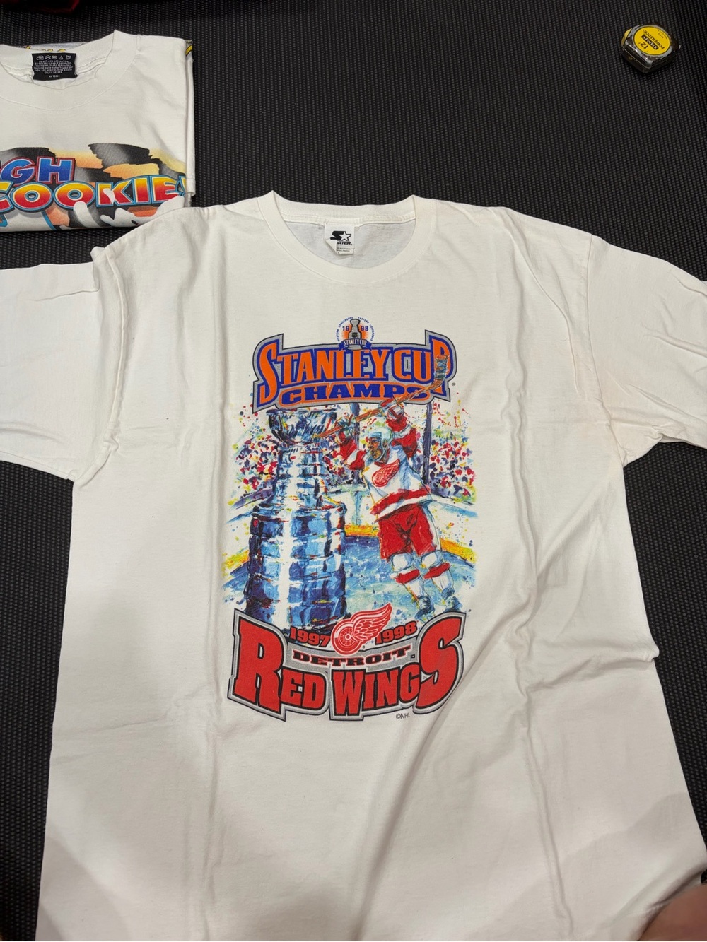 Vintage Starter Detroit Red Wings Stanley Cup Champions Hockey T-Shirt